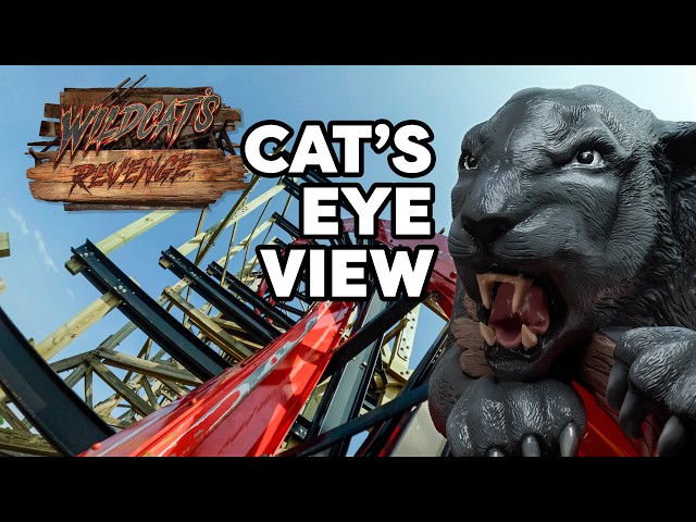 Wildcat's Revenge Official 2026 POV (Cat's Eye View 4K)