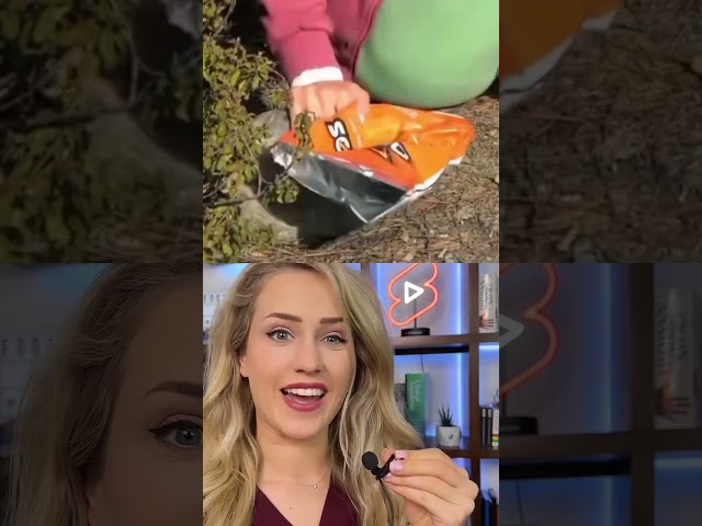 Doctor reacts: surviving a snake bite