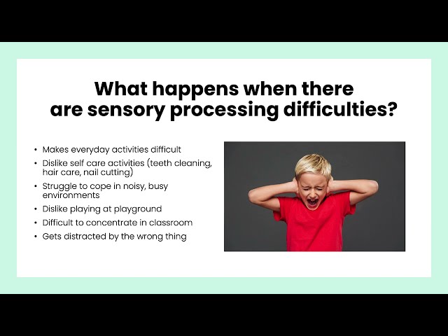 Introduction to sensory processing  -  Childrens Occupational Therapy Team