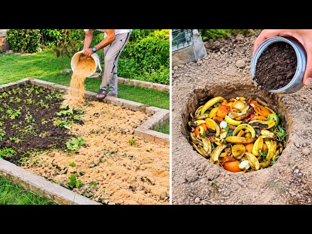 Dead Soil? Do THIS NOW! Turn Dead Soil Into Microbe-Rich Soil in Days | Ancient Garden Secret
