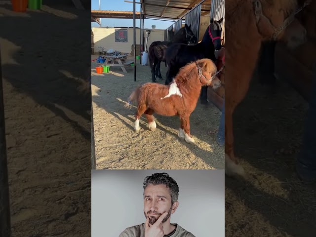 Desafío PELIGROSO en la Granja que casi acaba mal #LaGranjaÉpica #Brutal