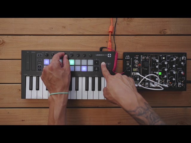 Arpeggiator - Launchkey Mini // Novation