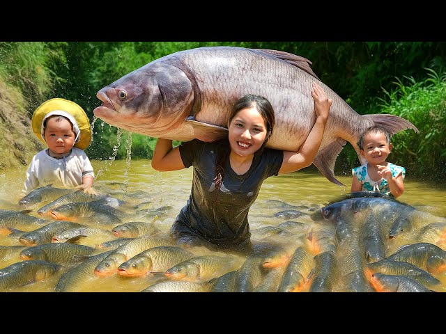How to Catch fish and trap fish to sell at the market with single mom