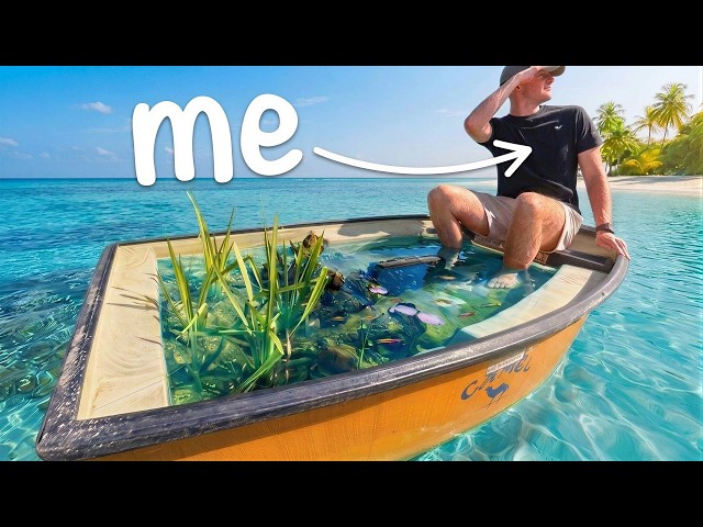 I Turned My Boat Into An Aquarium Ecosystem!