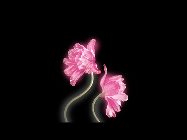 ✩ Random Sped Up & Slowed edit audios bc im addicted to tiktok pt69 + timestamps !! ✩