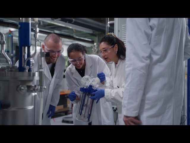 Studying at KIT: Bioengineering (M. Sc.)