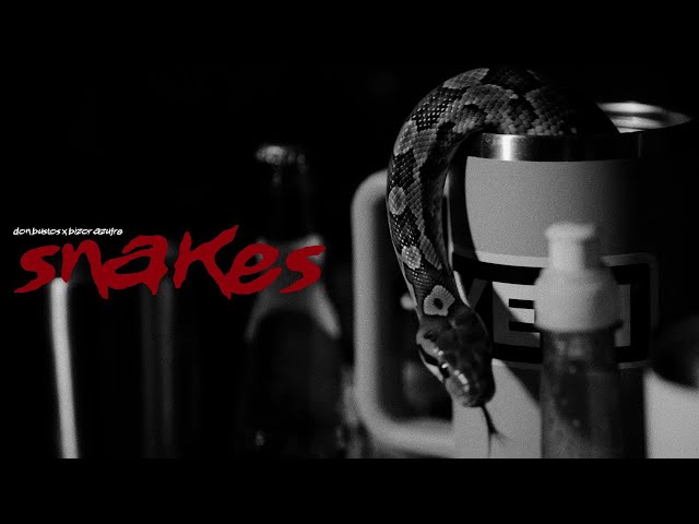 Don Bustos Ft. @BizorAzufre Ft. @inferaart -  SNAKES  