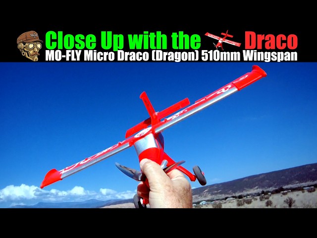 Close Up with the Draco! MO-FLY X7 Micro Draco (Dragon) 510mm Wingspan 4CH Brushless Motor BNF|RTF