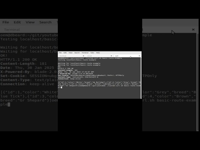 Programming java gradle blade hibernate sqlite api