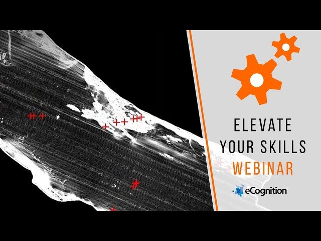 eCognition Webinar: How to analyze large sonar data sets with machine learning