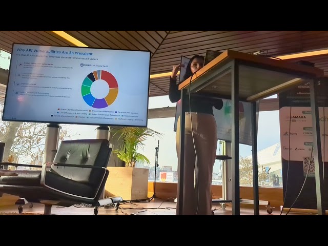 API Security Control Frameworks: Securing Your APIs in November 2024