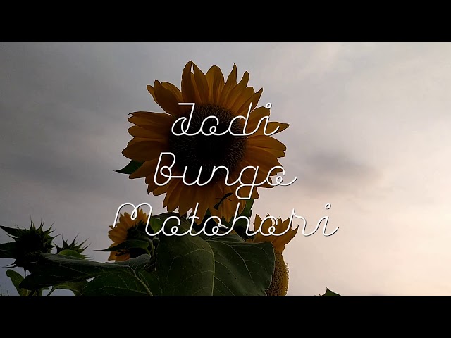 REKAM-Fiksi Ilmiah, Jadi Bunga Matahari (Official Video Audio Lirik)