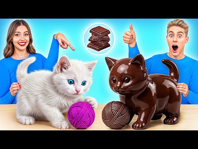 Desafío De Comida Real vs. De Comida Chocolate | Recetas Culinarias Increíbles Multi DO Challenge