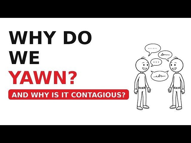 Why Do We Yawn — And Why Is It Contagious?
