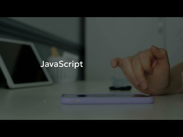 JAVA SCRIPT