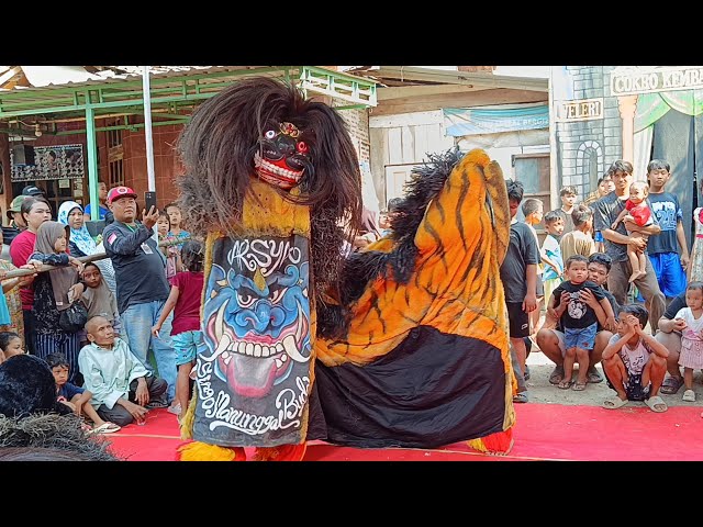 Singobarong Cokro Kembang Lestari live Weleri