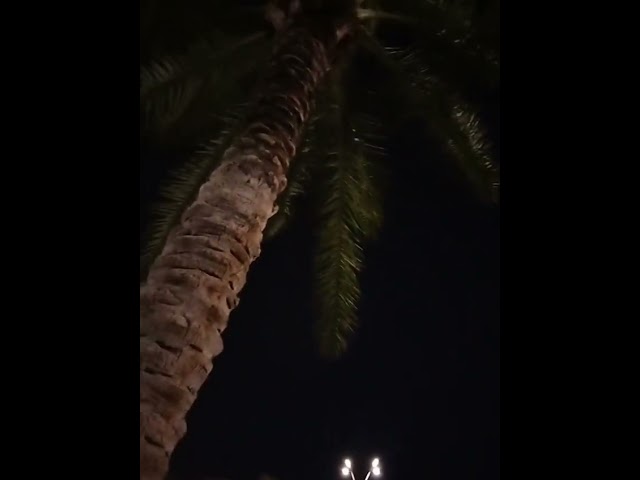 plc- scada -inverter-hmi. programing WhatsApp Video 2025 12 24 at 11 04 16