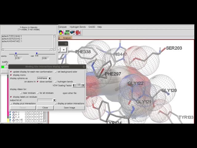 Docking from Scratch. AutodockTools Tutorial.
