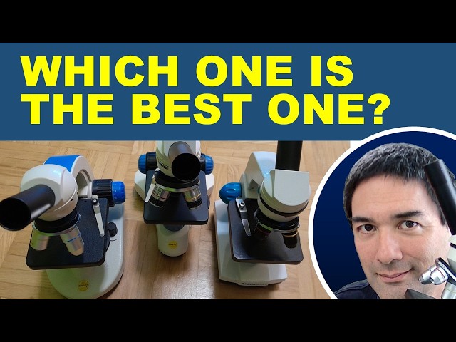 🔬 How well do these cheap microscopes work?