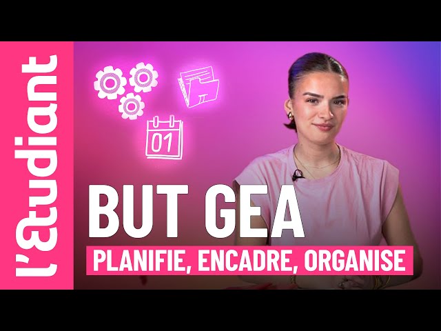 BUT GEA - Business and Administration Management: program, work-study, career opportunities