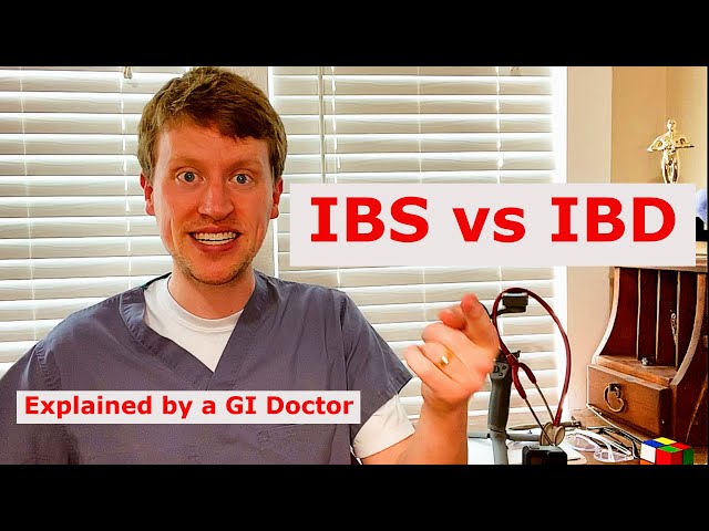 Síndrome del intestino irritable (SII) vs. enfermedad inflamatoria intestinal (EII): ¿Cuál es la ...