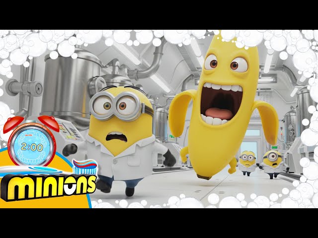Minions Banana Song 2 Minute Toothbrush timer with Music
