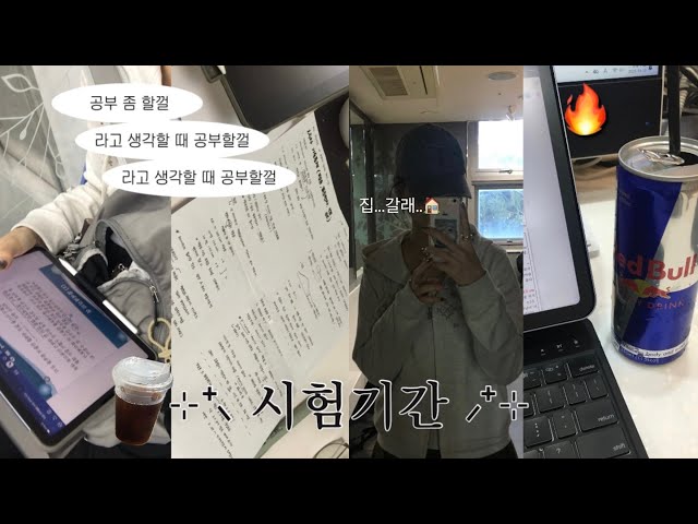 Vlog 대학생 시험기간 브이로그 | 1년만에 중간고사 보는 막학기 대딩 (시험과 n년째 낯가리는 중 🔫)