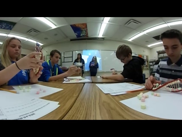 2016-2017 Lecanto Middle School Mylene Taylor DNA activity