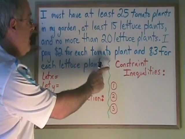 Linear Programming: Constraint Inequalities and the Function to be Optimized