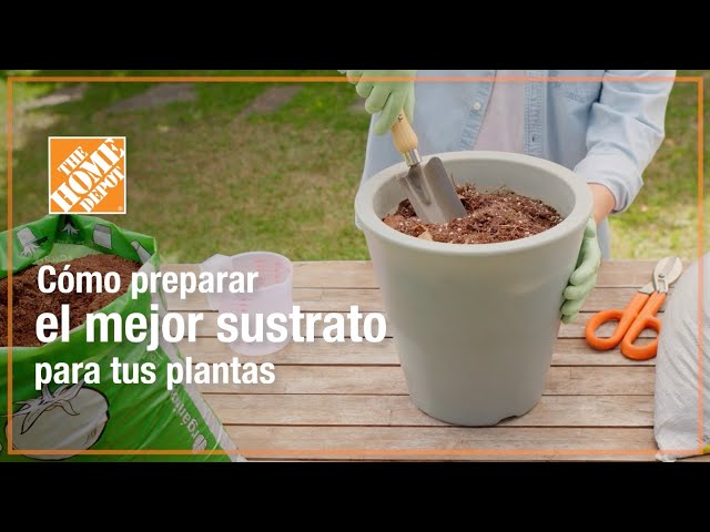 Cómo preparar el mejor sustrato para tus plantas