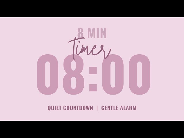 ⌛ 8 Minute Quiet Countdown Timer ⏰ Gentle Alarm 💗 Aesthetic Pastel Pink