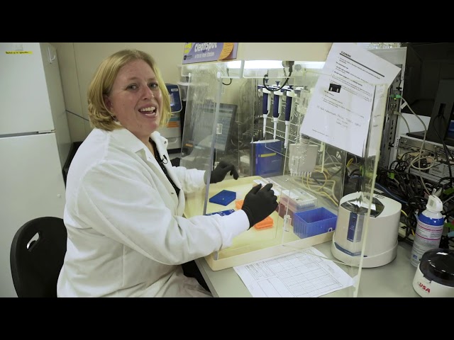 4  How to use PCR and qPCR