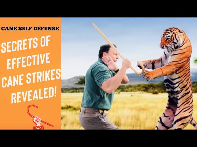 Cane Self Defense: Secrets of Effective Cane Strikes Revealed!