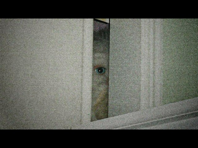 2 Hours of Horrifying Reddit Stories