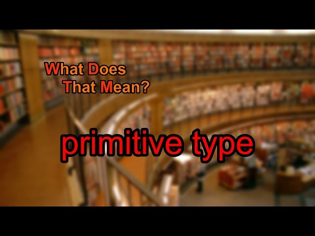 What does primitive type mean?