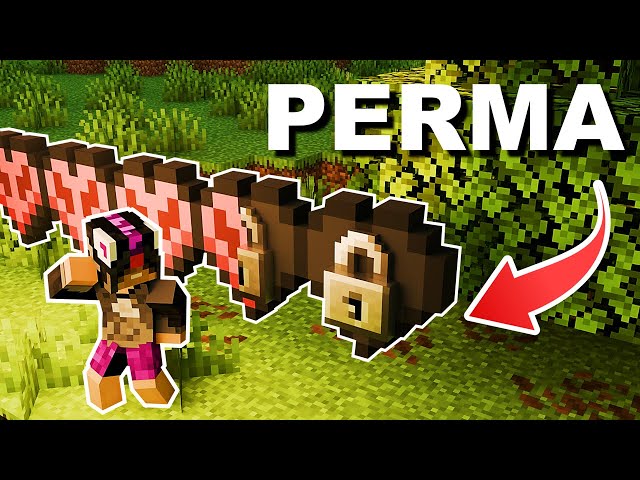 Minecraft, De Minden Sebződés VÉGLEGES