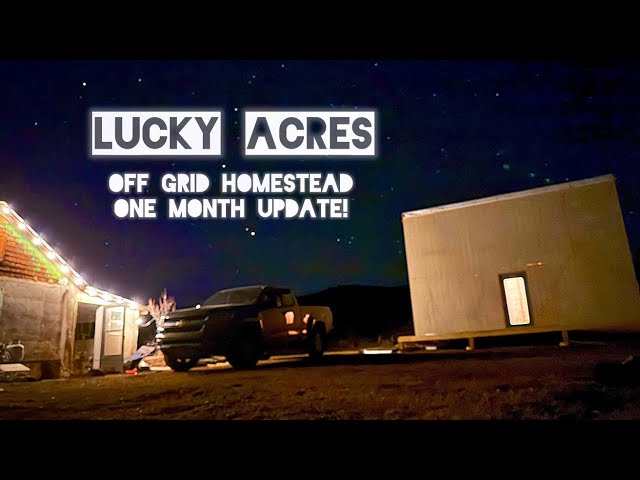 Our Solar Panels blew away! What's next for the Tiny House? One Month Homesteading