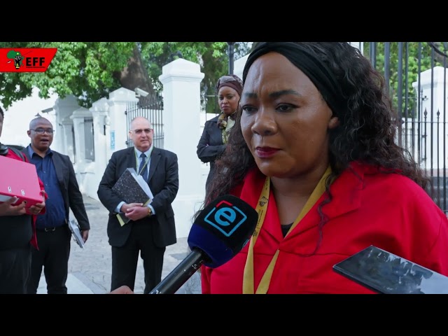EFF Treasurer-General and Member of the Impeachment Committee