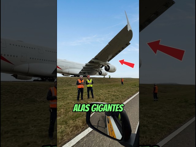 There is something hidden inside airplane WINGS! ✈️