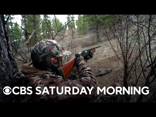 What role hunting plays in wildlife conservation