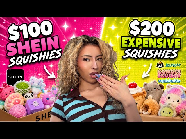 $100 SHEIN Squishies vs $200 Expensive Squishies… Was It Worth It?                          