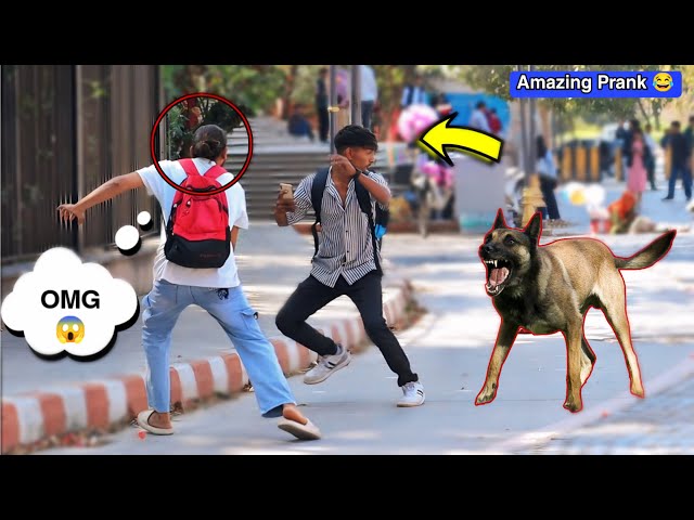 Top 10 prank video 😂 || Best Reaction || prank video funny || Jaipur entertainment
