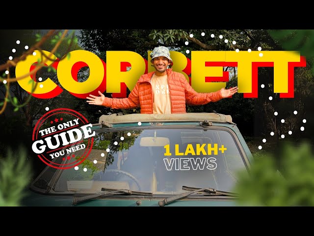 Most Complete Guide to JIM CORBETT | For Best Safari Experience
