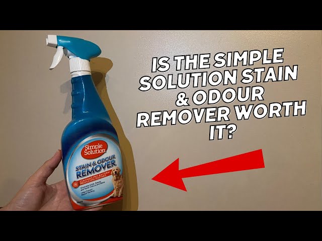 Demonstrating the Simple Solution pet stain and odour remover