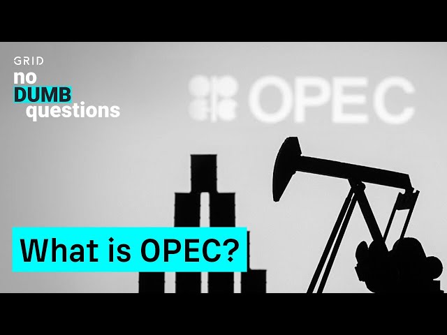What Is OPEC?