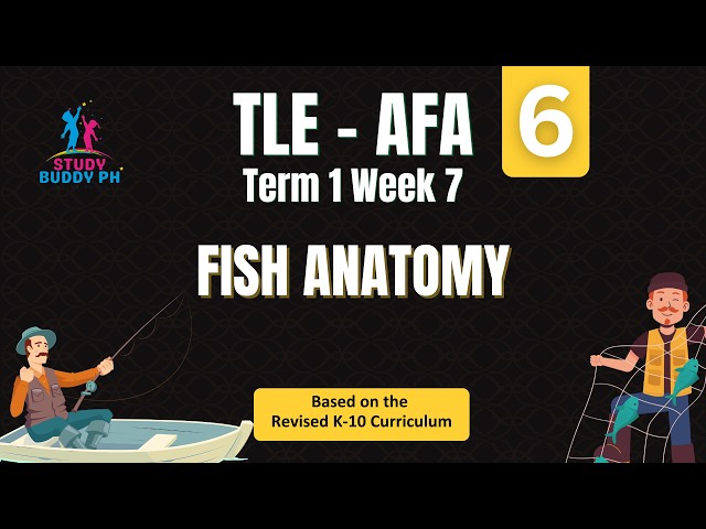 TLE 6 - AFA, Term 1 Week 7: Fish Anatomy