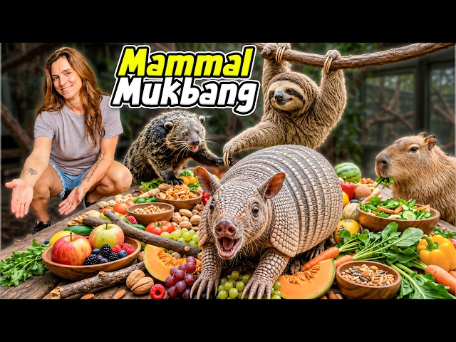 I Made a GIANT Feast For All Our Mammals!
