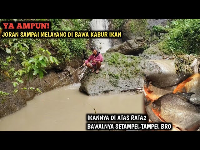 GILA! HABIS HUJAN IKAN BAWAL BESAR-BESARNYA PADA NAIK || MANCING LELE DAN IKAN NILEM AUTO PANEN