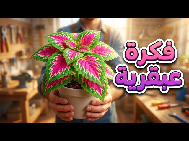طريقة عمل نبات الكاليوس من أكياس البلاستيك |   Coleus plant 
